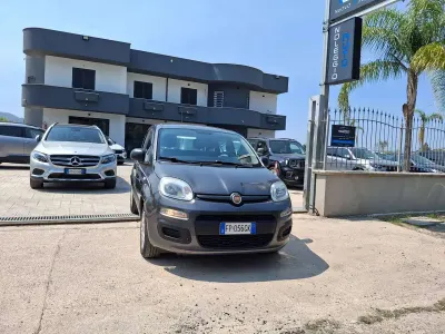 Usata Fiat Panda Lounge 69 CV (50 kW) 2018 Grigio Utilitaria
