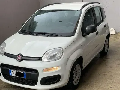 Usata Fiat Panda Easy 80 CV (58 kW) 2019 Other Utilitaria