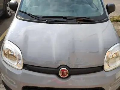 Usata Fiat Panda 4x4