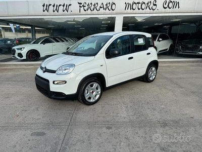 usata Fiat Panda 1.0 Hybrid 70cv pronta consegna