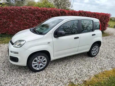 Occasion Fiat Panda Easy 70 ch (51 kW) 2018 Blanc Citadine