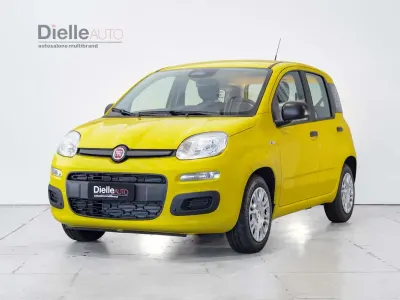 Nuova Fiat Panda Icon 65 CV (47 kW) 2026 Giallo pastello Utilitaria
