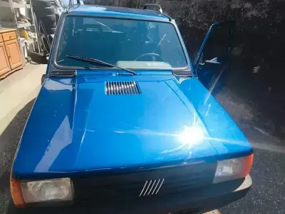 Usata Fiat Panda 4x4