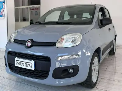 Usata Fiat Panda Easy 69 CV (50 kW) 2020 Grigio Utilitaria