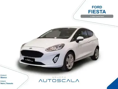 Usata Ford Fiesta