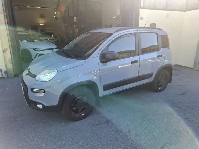 Usata Fiat Panda 4x4 86 CV (63 kW) 2019 Grigio Utilitaria