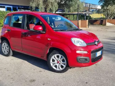 Usata Fiat Panda Easy 80 CV (58 kW) 2015 Utilitaria
