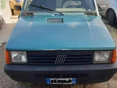 Usata Fiat Panda 4x4 50 CV (36 kW) 2002 Verde Utilitaria