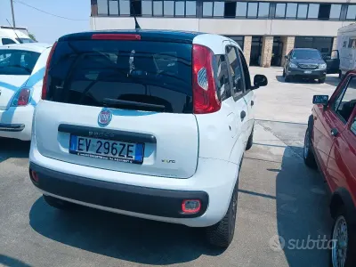 Usata Fiat Panda Young 70 CV (51 kW) 2014 Bianco Utilitaria