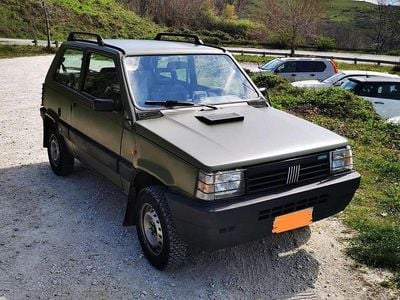 Usata Fiat Panda 4x4 Trekking 54 CV (39 kW) 1995 Utilitaria