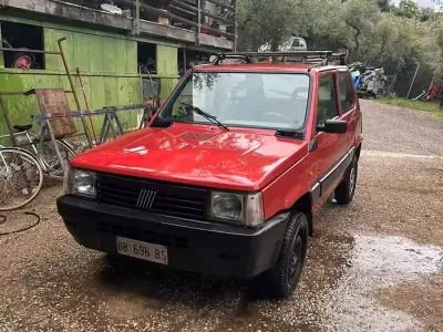 Usata Fiat Panda 4x4
