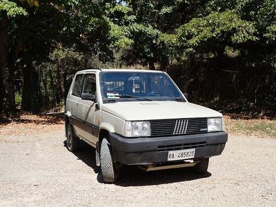 Usata Fiat Panda 4x4 50 CV (36 kW) 1989 Grigio Utilitaria