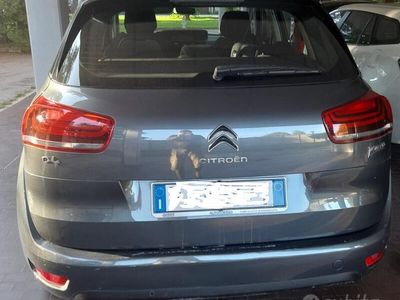 usata Citroën C4 Picasso - 2017