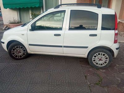 usata Fiat Panda 1.3 mjt 16v Emotion neopatentati