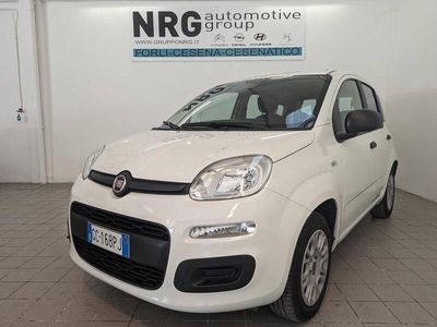 usata Fiat Panda 3ª serie 1.2 Pop