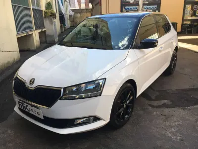 Usata Skoda Fabia