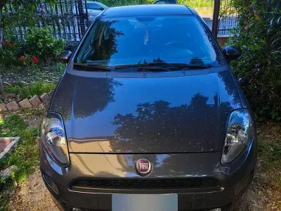 Brugt Fiat Punto