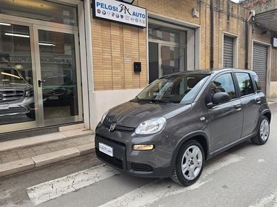 Usata Fiat Panda S 69 CV (50 kW) 2024 Grigio Utilitaria