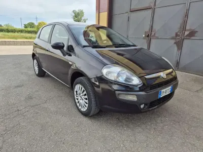 Usata Fiat Punto Evo