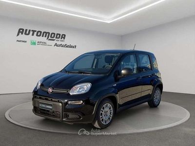 Occasion Fiat Panda 69 ch (50 kW) 2023 Noir Citadine