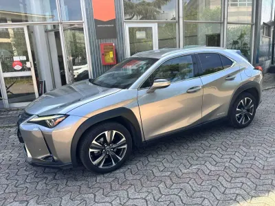 Usata Lexus UX Luxury Line 184 CV (135 kW) 2020 Grigio SUV