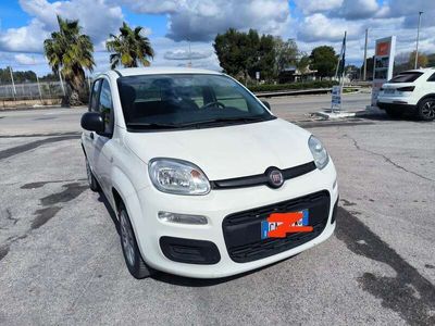 usata Fiat Panda Panda 1.2 Easy