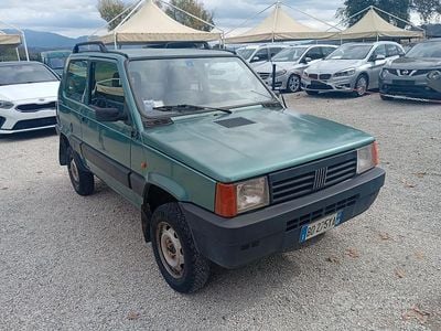 Usata Fiat Panda 4x4 Trekking 54 CV (39 kW) 1999 Verde Utilitaria