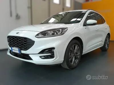 Usata Ford Kuga ST-Line 190 CV (139 kW) 2023 Bianco SUV