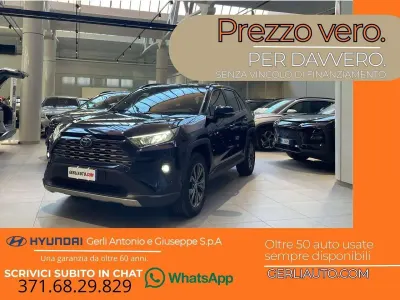 Usata Toyota RAV4 Hybrid