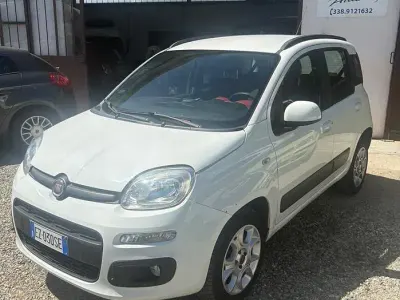 Usata Fiat Panda Lounge 80 CV (58 kW) 2015 Bianco Utilitaria