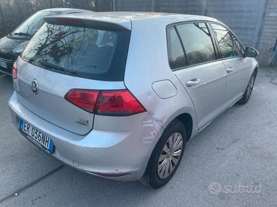 usata VW Golf Golf 1.6 TDI 110 CV 5p. Business 4 Free BMT