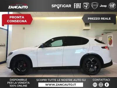 Usata Alfa Romeo Stelvio Veloce 210 CV (154 kW) 2023 Bianco SUV