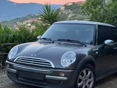 Usata Mini One D