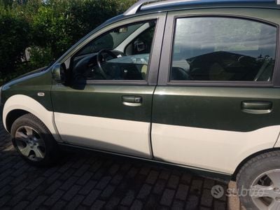 Usata Fiat Panda 4x4 95 CV (69 kW) 2010 Verde Utilitaria