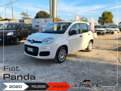 Usata Fiat Panda Easy 69 CV (50 kW) 2020 Bianco Utilitaria