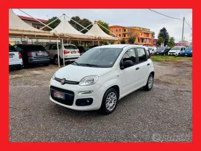 Usata Fiat Panda Easy 95 CV (69 kW) 2018 Bianco Utilitaria