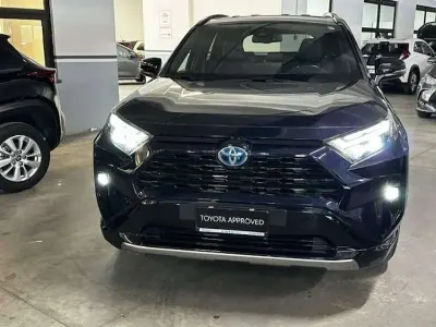 Usata Toyota RAV4 Hybrid