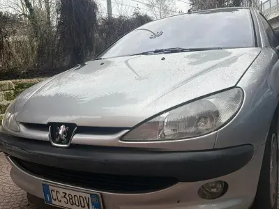 Usata Peugeot 206 70 CV (51 kW) 2002 Grigio Utilitaria