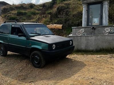 Usata Fiat Panda 4x4 Club 54 CV (39 kW) 1997 Verde Utilitaria