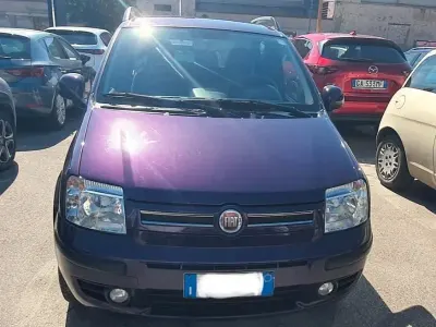 Usata Fiat Panda 60 CV (44 kW) 2010 Utilitaria