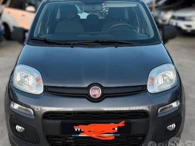 Usata Fiat Panda 2019 Giallo Utilitaria