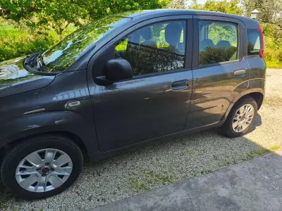 Usata Fiat Panda