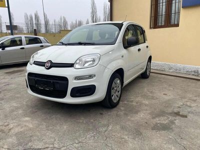 usata Fiat Panda 1.2 Pop usato