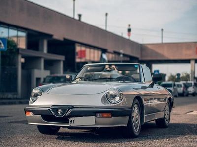 usata Alfa Romeo Spider - 1987