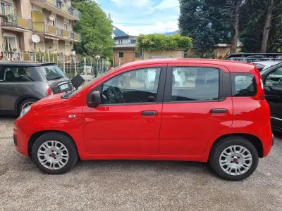 Usata Fiat Panda 69 CV (50 kW) 2017 Rosso Utilitaria