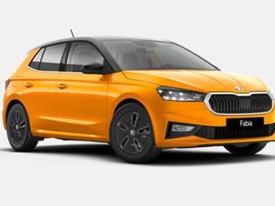 usata Skoda Fabia 1.0 mpi evo Style 80cv nuova a Arzignano