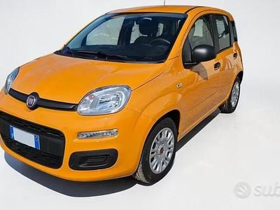 Usata Fiat Panda S 70 CV (51 kW) 2022 Orange pastello Utilitaria