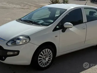 Usata Fiat Punto Evo 75 CV (55 kW) 2011 Bianco Utilitaria