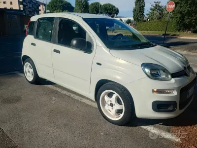 Usata Fiat Panda 95 CV (69 kW) 2016 Utilitaria