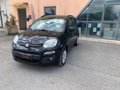 Usata Fiat Panda Easy 69 CV (50 kW) 2013 Nero Utilitaria